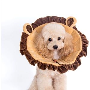 Size xs dog e collar